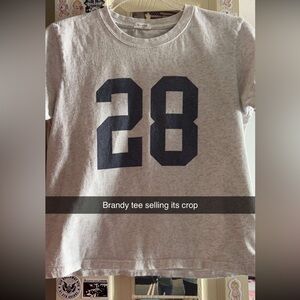 Brandy Melville Gray Crop Top with Navy Print